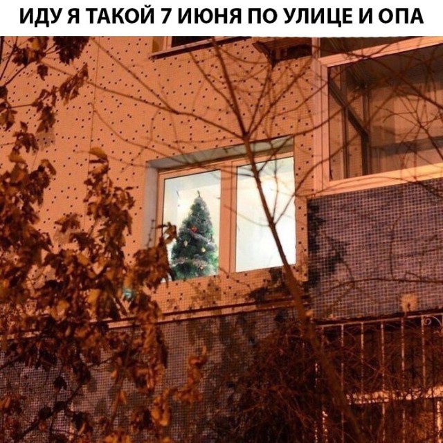 Немного картинок в этот субботний вечр