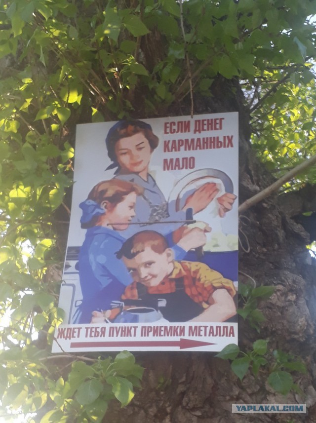Прикольные картинки.