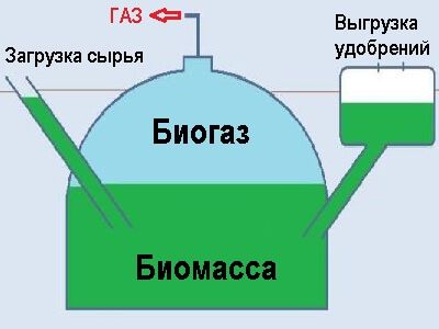 "Они конченые". Банда подростков избила отдыхающих в центре Петербурга