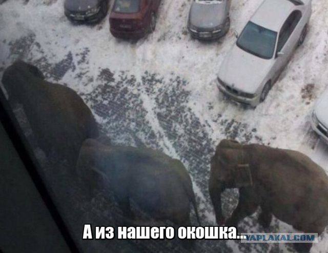 А какой у Вас вид из окна?