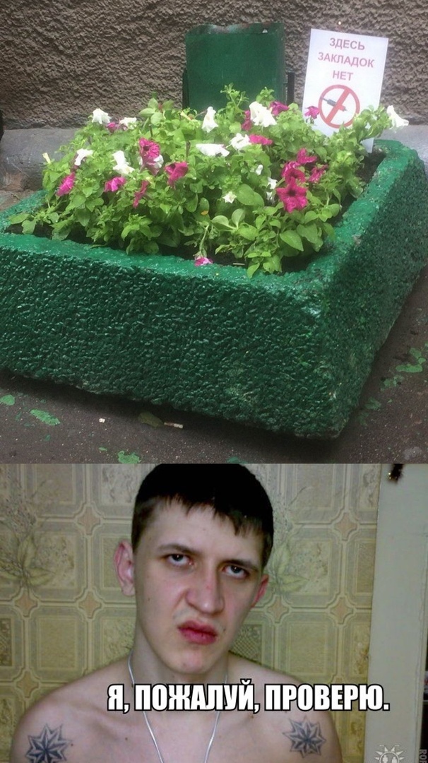 Нестандартный юмор