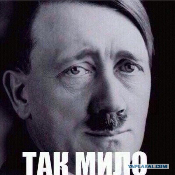 Мои дорогие соседи