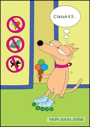 Собакам запретили появляться в общественных местах