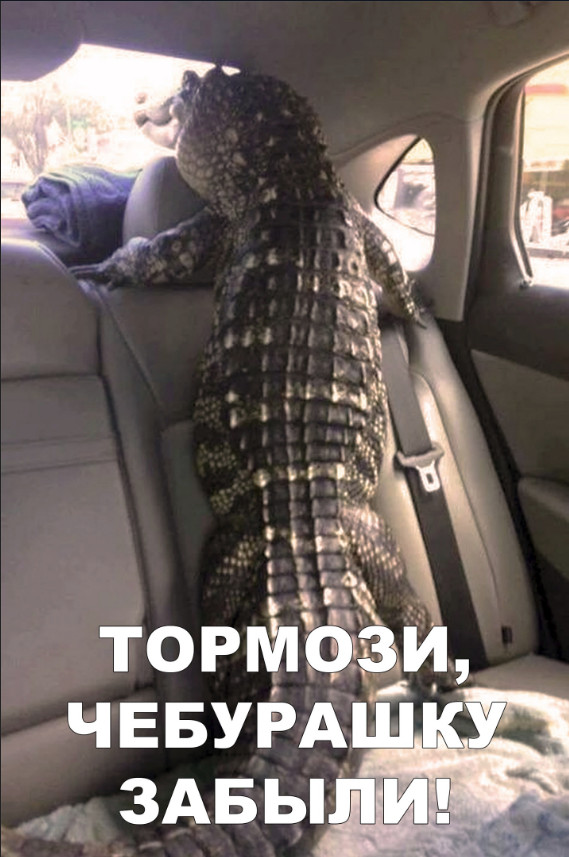 Нестандартный юмор