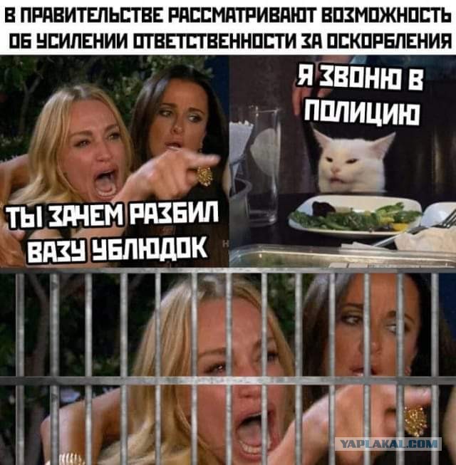 В Госдуме предложили штрафовать за оскорбления в интернете на 5-10 тыс рублей. Такие оскорбления приравняют к публичным