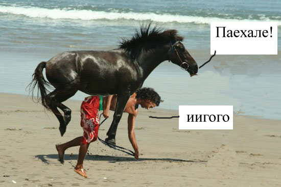 Фотожаба дня: Летающий конь