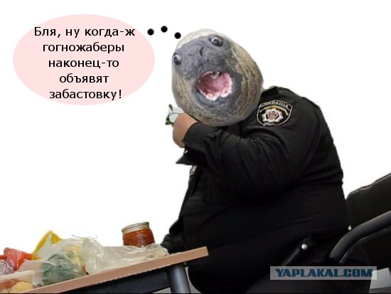 Фотожаба: Голодный охранник