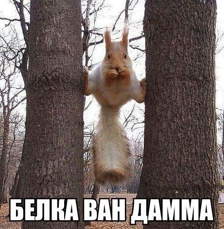Прикольные и просто красивые картинки 29.07.2020