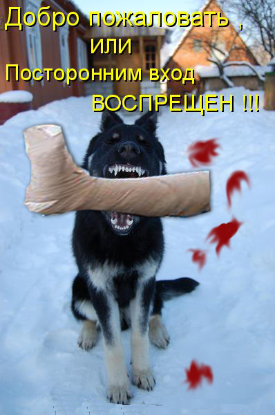 Битва фотожаберов (команда №4), Бриллиантовая нога
