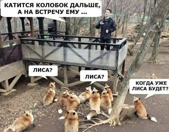 Фотки и картинки: юморные и красивые, забавные и милые 14.09.20