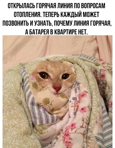 Немного картинок для настроения 28.09.20