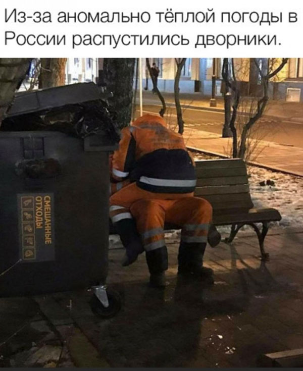 Картинки с надписями фразы и анекдоты