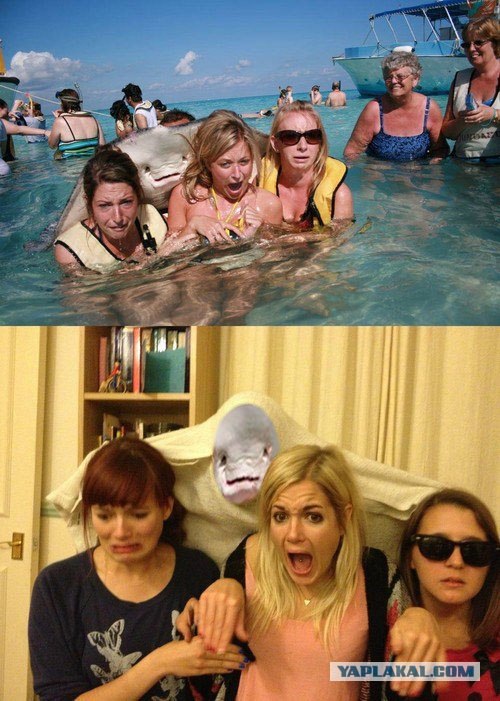 Изобразили