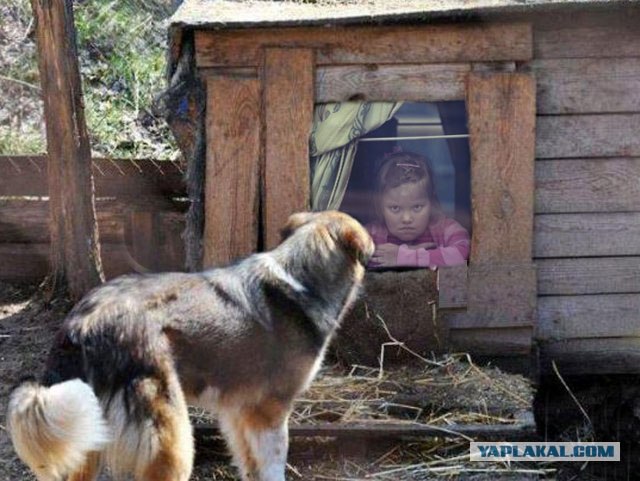 Фотожаба: Собака с Девушкой