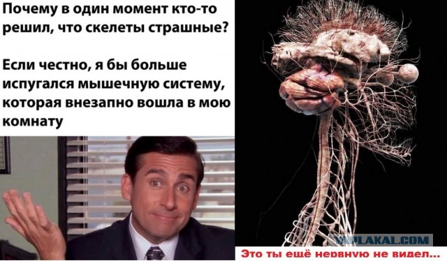 Бредзона 18.02.2021