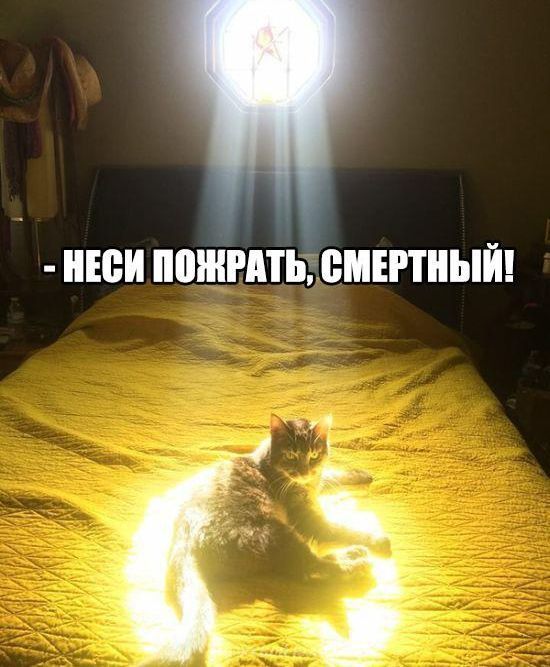 Так себе картинки 05.04.21