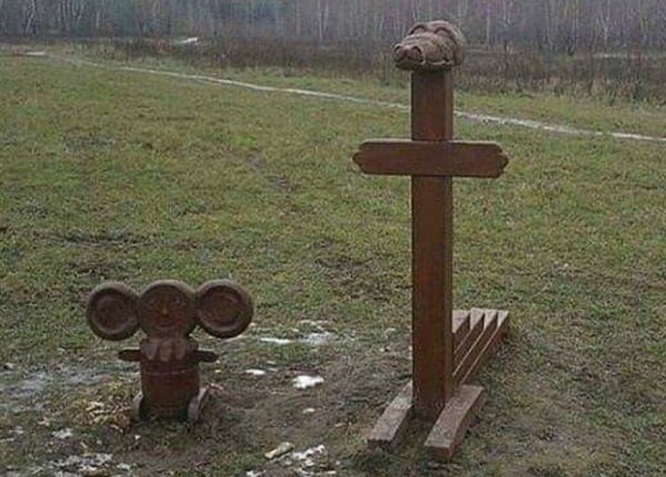 Шелушение коры