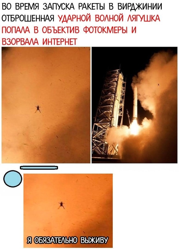 Так себе картинки 12.09.21
