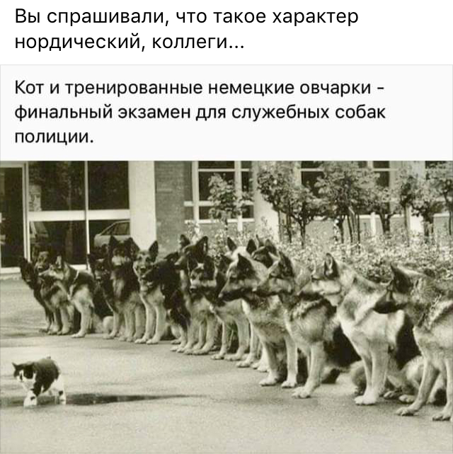 Картинки - не картинки. Смешные - не смешные 2