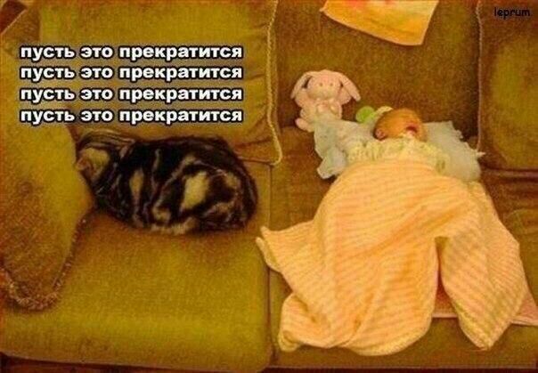 Картинки и мемы для настроения 22.11.2021