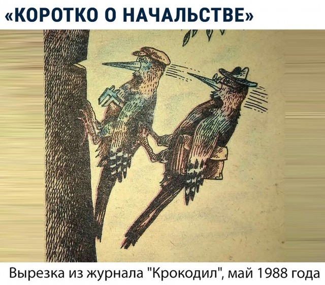 Картинки и мемы для настроения 25.11.2021