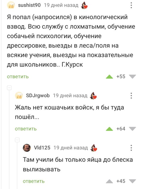 Баянисто-небаянистый юмор 7.02.22