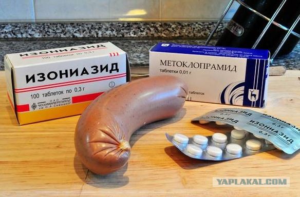 Астрахань. Ряды догхантеров пополняются