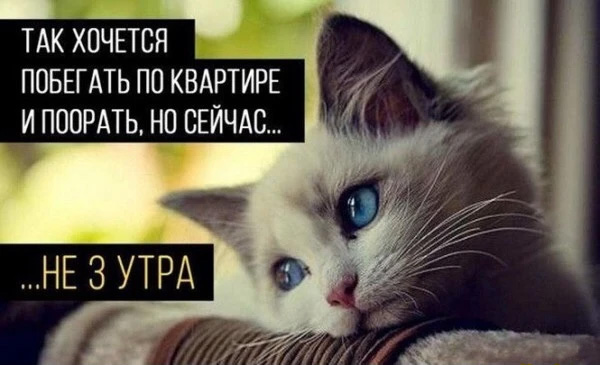 Немного картинок и прочей хреноты Vol. 14