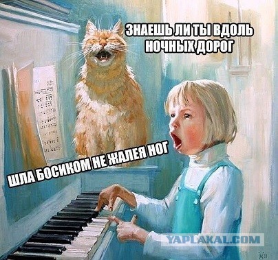 Муж составил список причин, по которым жена отказывала ему в сексе
