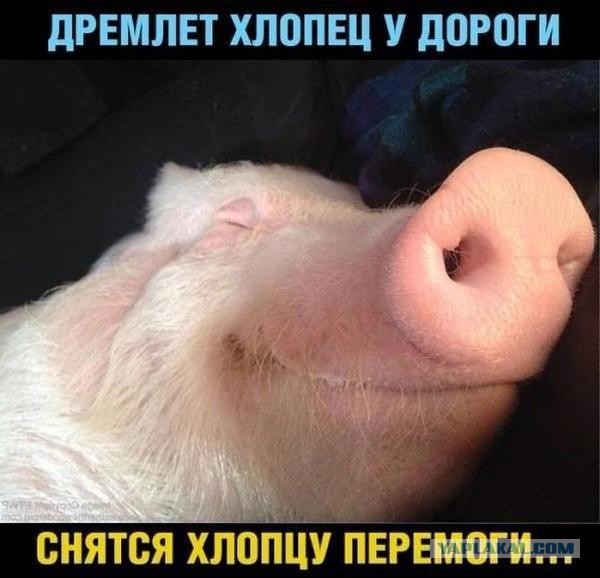 Китайская газета, о Калининградской области и Литве.