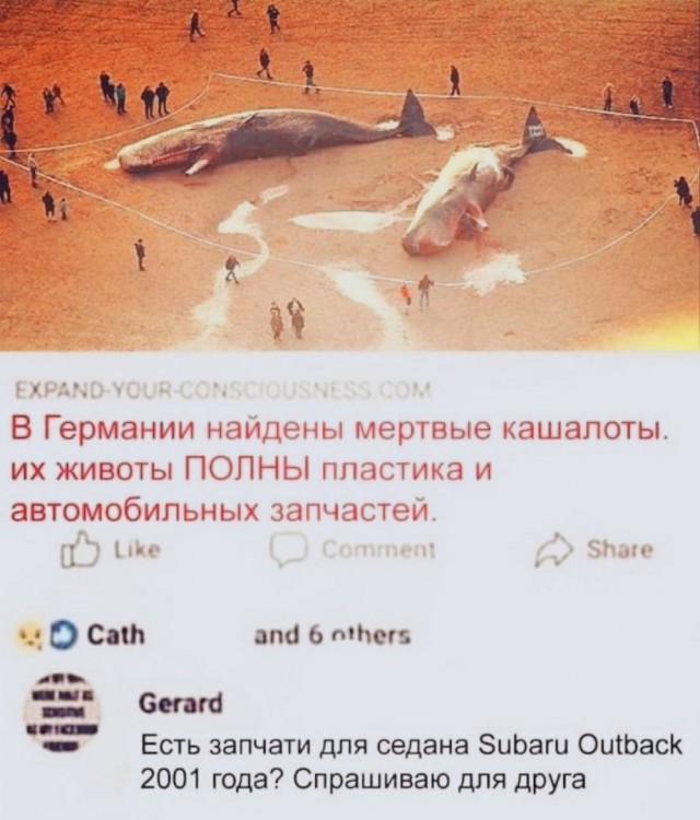Картинки аморальные и всякие разные - 41
