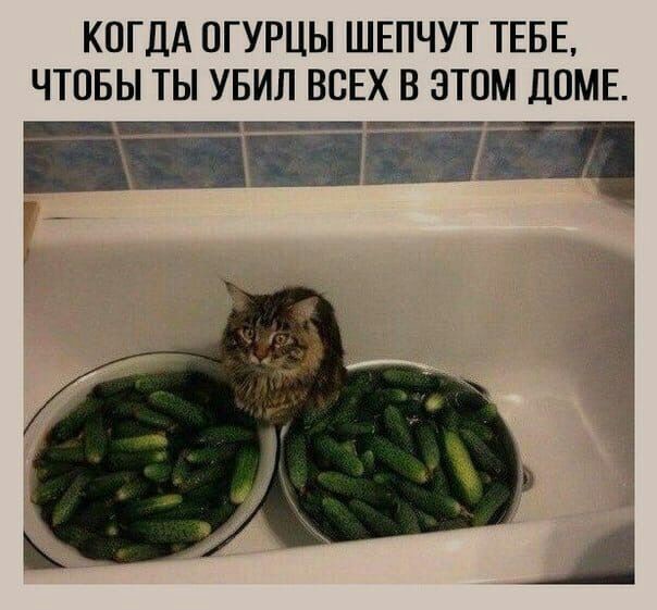 Народная меДИЧина 9017