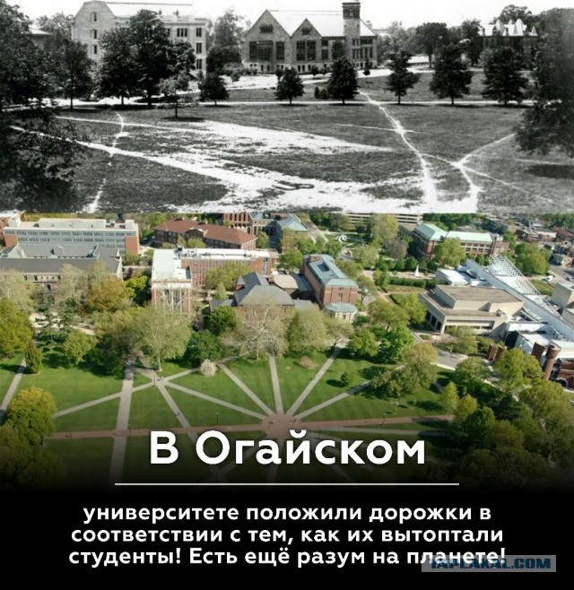 Как я на нем зарабатываю...