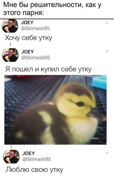 Осторожно! Видео способно вызвать острое желание погладить уточку