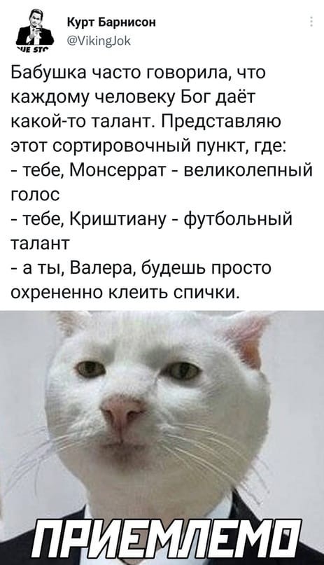 Скриншоты и комментарии из социальных сетей 28.12.22