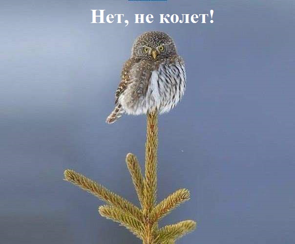 Так себе картинки 04.01.23