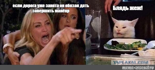 Пошёл на принцип