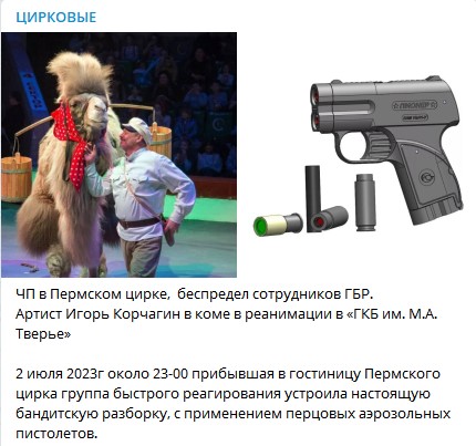 Пермский дрессировщик Иван Корчагин находится в коме после нападения сотрудников ЧОПа на гостиницу, где жили артисты цирка