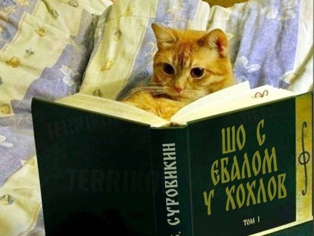 В сети появилась фотография с генералом Суровикиным