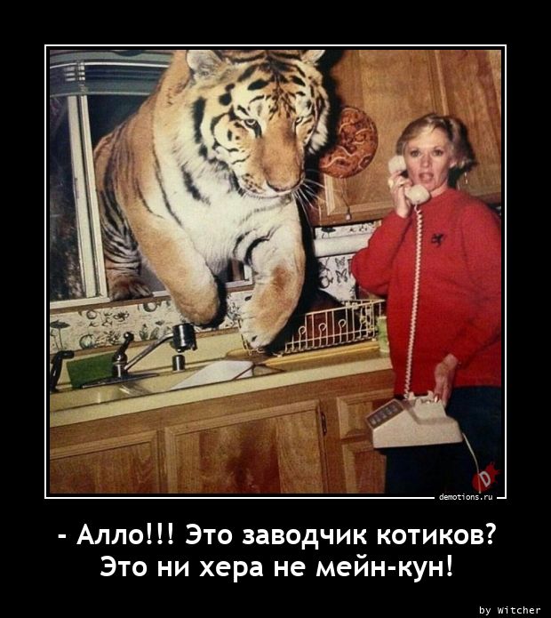 Такой роскошный хвост вы наверняка ещё не видели