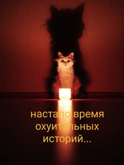 Нашлись тюменцы, выигравшие миллиард в лотерее: это токарь и логопед