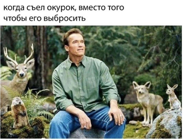 Всего понемногу. От 19.01.24