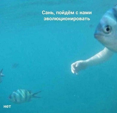 Пора в космос!