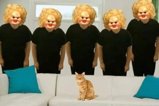 Баянистые деградинки