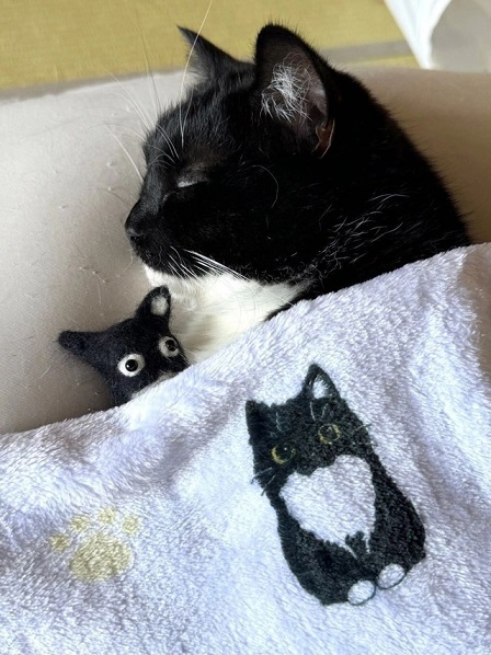 Крепость сдается?