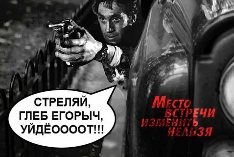 Новый вид нечисти на дорогах
