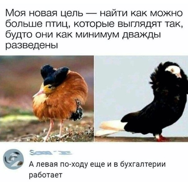 Так себе картинки 21.02.25