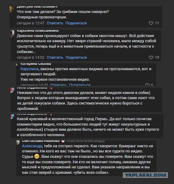 Очередные проделки хвостиков