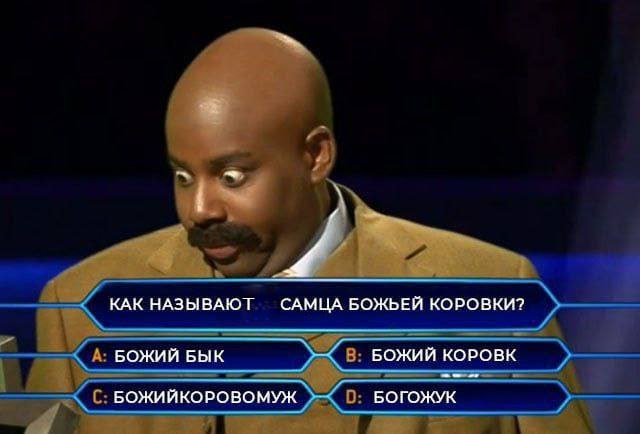 Картинки ниапчём и обо всём