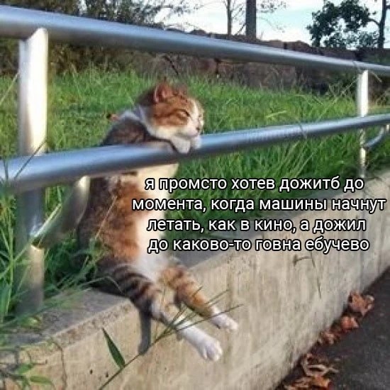 Так себе картинки 02.10.25